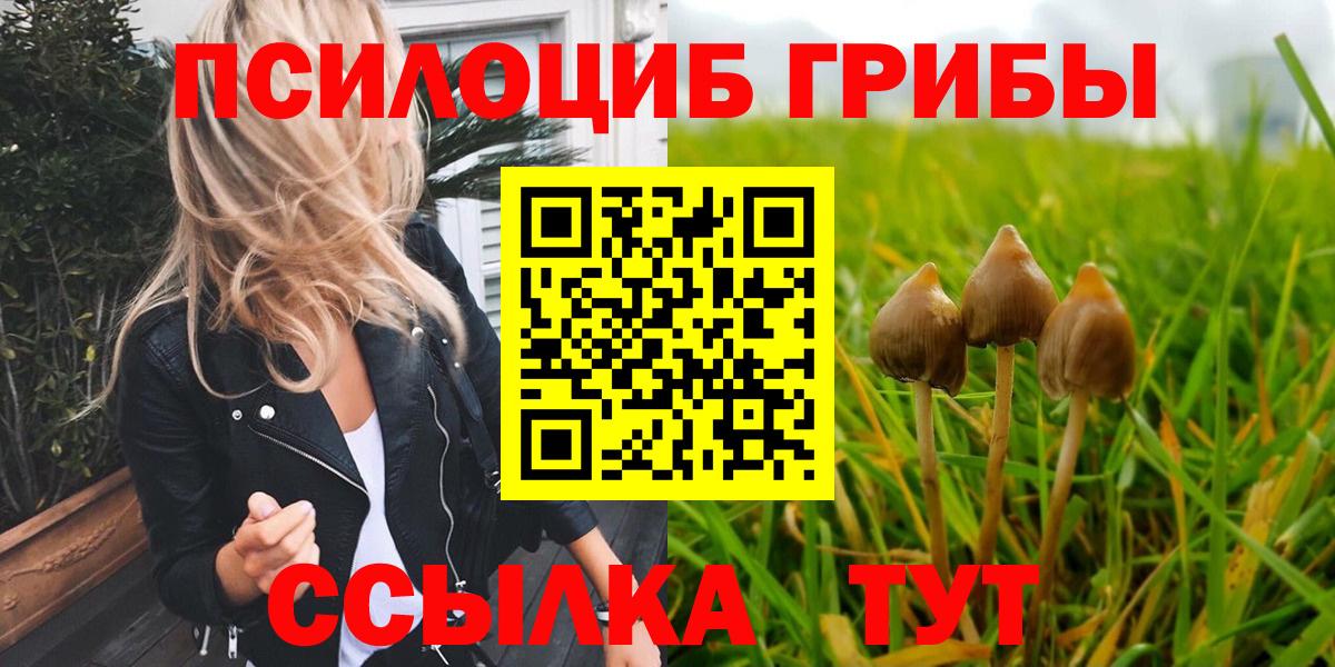 Псилоцибиновые грибы мицелий Сосновоборск